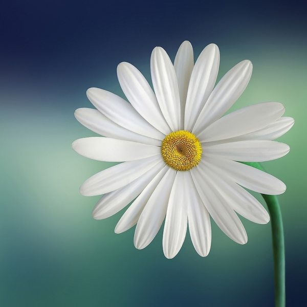 Meditation mit dem Inneren Kind